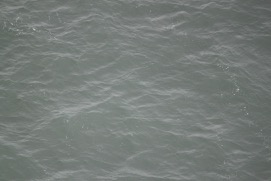 Missing Picture
